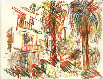 db_1_Buganv_Palmenallee.jpg