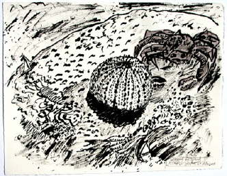 db_22_Seltsames_am_Strand.jpg