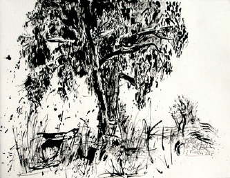 db_23_Eukalyptus_I.jpg