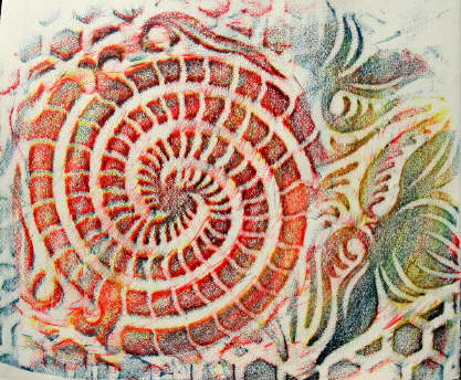db_23_Schnecke.jpg