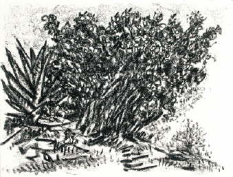 db_35_Im_Ginsteratelier_II.jpg