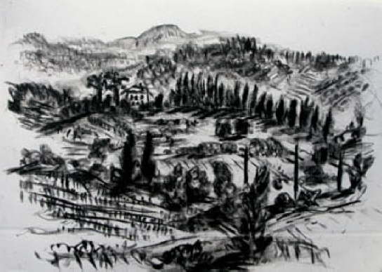 db_42Blick___Siena1.jpg