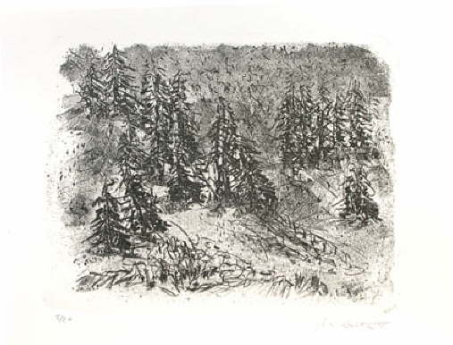 db__47_Li_Alpenwald___Regen.jpg